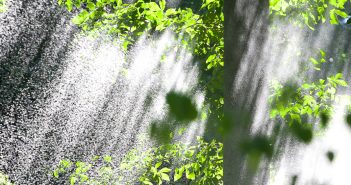 Falling Water, National Arboretum, Washington, DC
